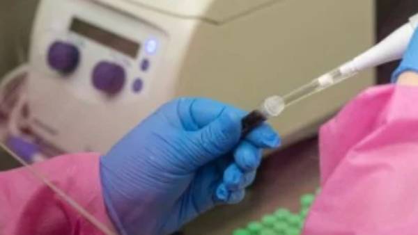 காய்ச்சல்