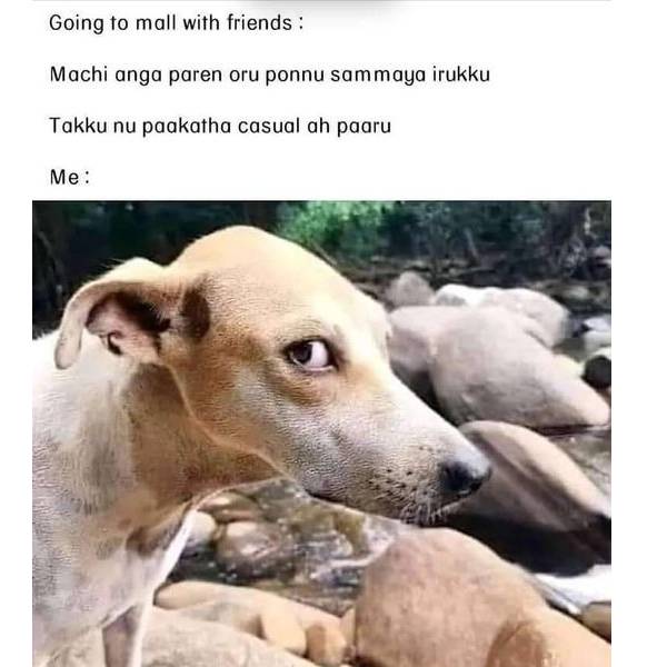 டக்குனு பார்க்காத 