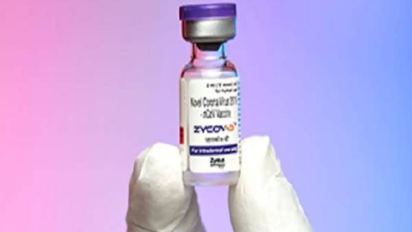 ஜைடஸ் காடிலா தடுப்பூசி 