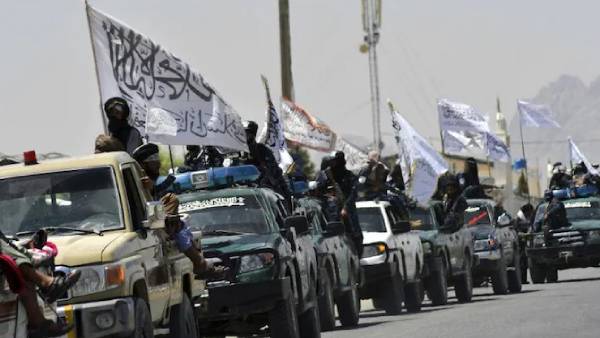 பஞ்சசீர் வடக்கு படை 