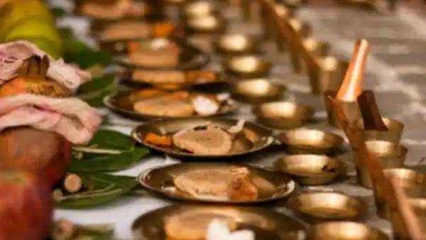 பசுவிற்கு பழம் 