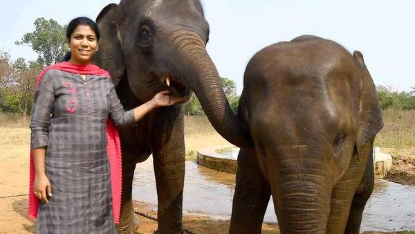 லண்டனில் பணி 