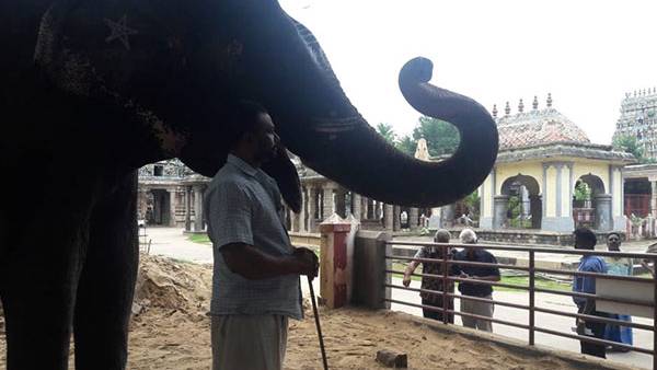 நீதிமன்றத்தில் வழக்கு
