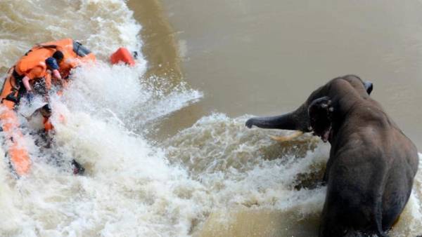 இரங்கல் 