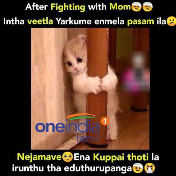 Viral memes collection on mother atrocities
