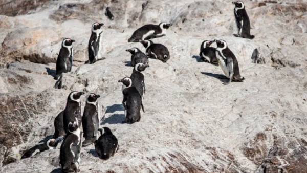 மோசமான நிலை 