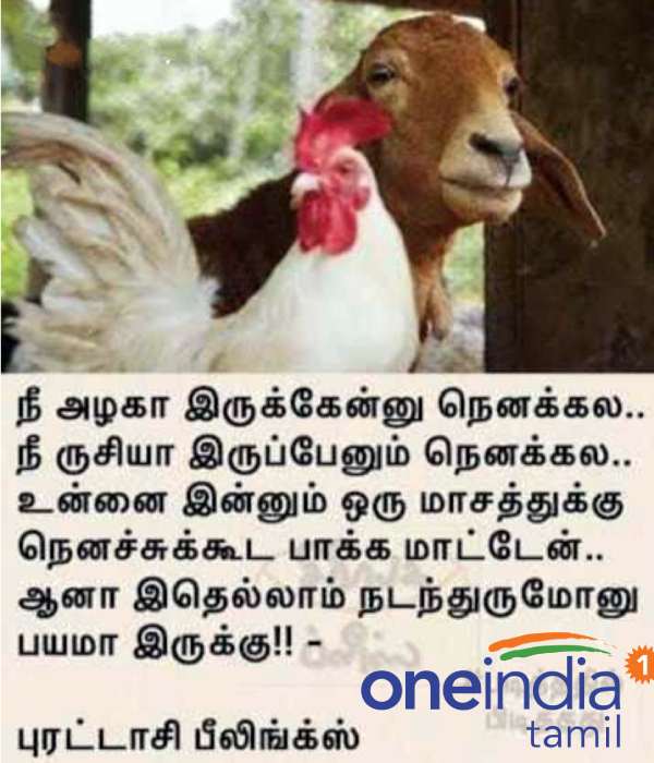 Viral memes collection on puratasi month 18-09-2021