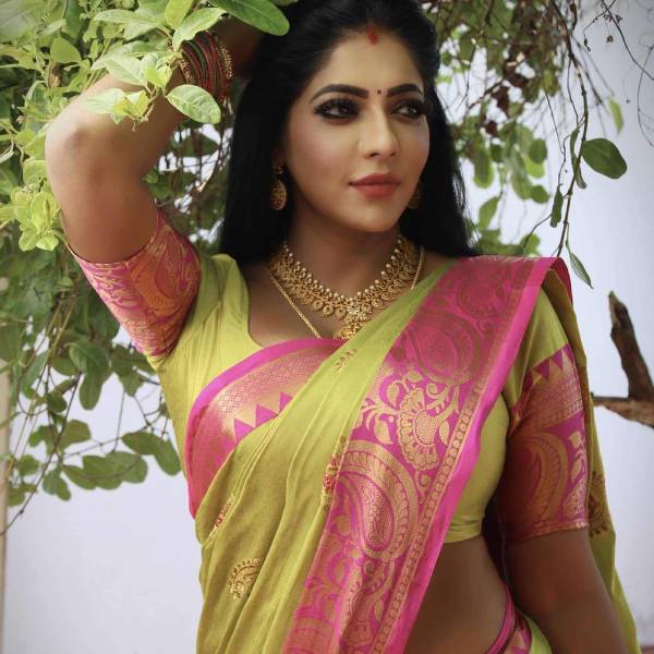 சீரியலில் அறிமுகம்