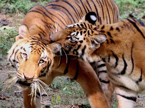 மாற்றம் 