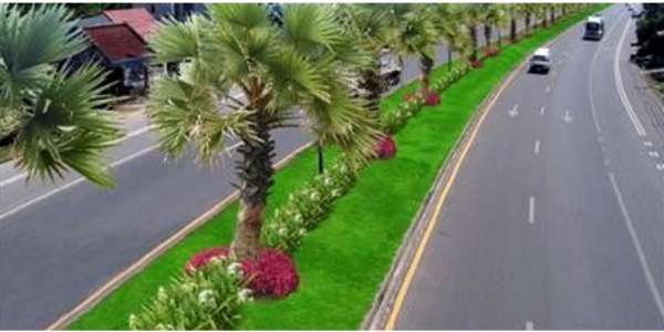 பசுமை போர்வை