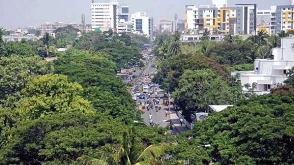 உரிய நடவடிக்கை