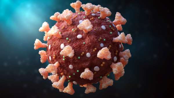 குரல்வளை