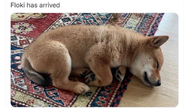 மதிப்பு உயர்வு 