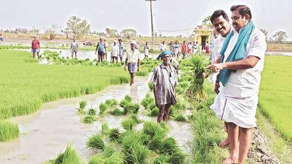  பயிர் கடன் மோசடி