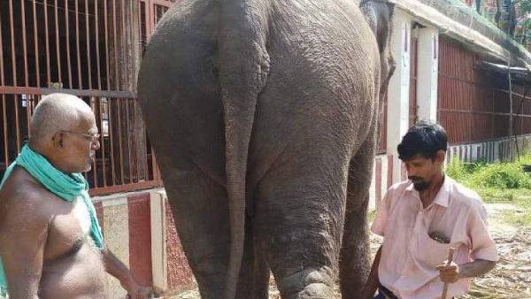 நீதிபதிகள் வரவேற்பு