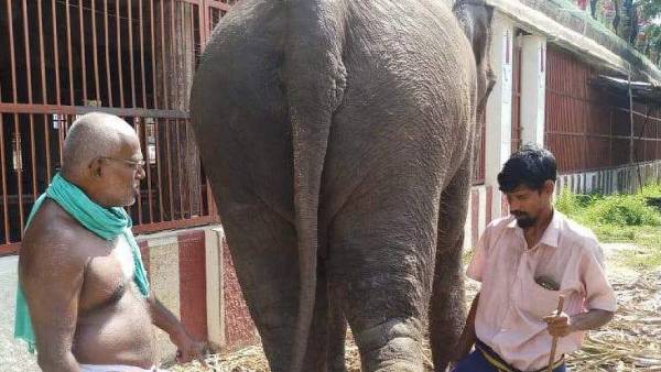 நீதிபதிகள் உத்தரவு