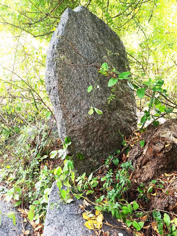  அததி ஊர்