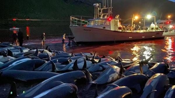 கொடூரம்