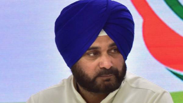 கிரிக்கெட் 