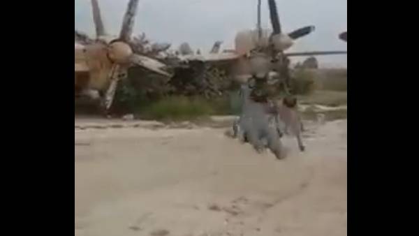 பொழுதுப்போக்கு பூங்கா 