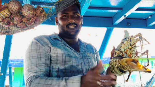 என்ன நடந்தது? 