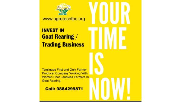 Higher return on goat rearing with less investment 