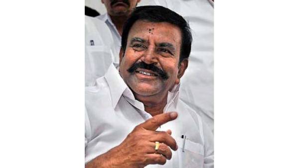 விரிசல் இல்லை 