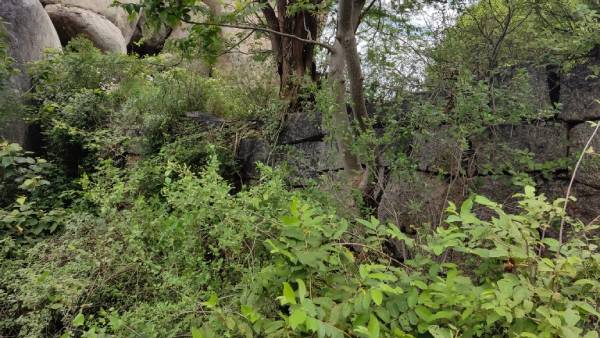 நான்கடி அகலம் 