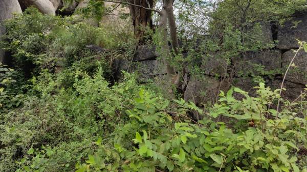 விஷ்ணு துர்க்கை 