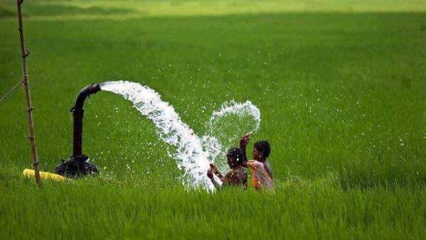 தேர்தல் அறிக்கை 