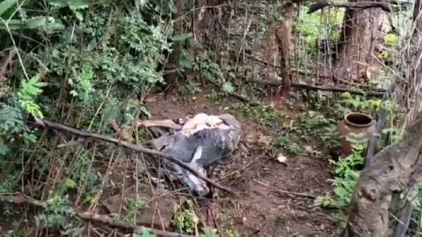  அதிர்ச்சி