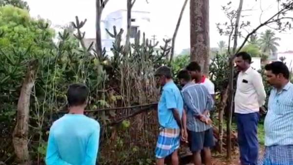  சிறுத்தை