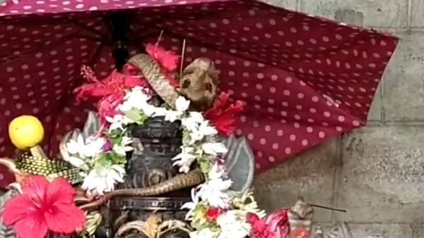  திடீரென சத்தம் 