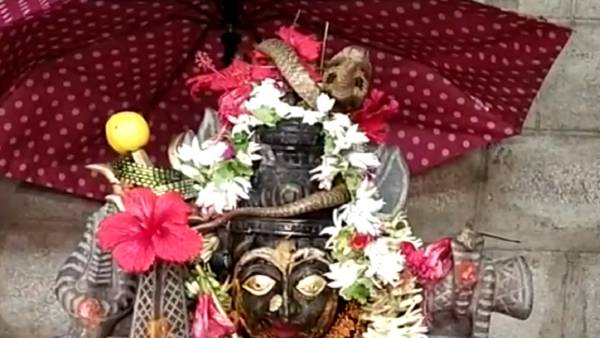  நல்ல பாம்பு 