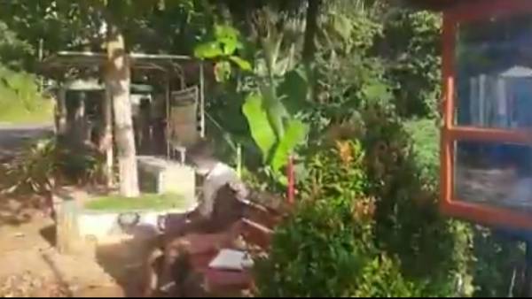 மாநில அரசுகள் 
