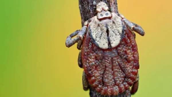 தீர்வு தீர்வு