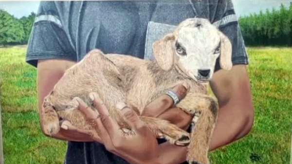 3டி ஓவியம் 