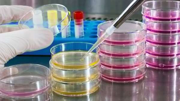 நோபல் விஞ்ஞானி 