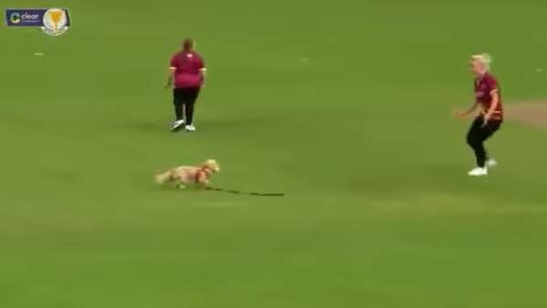 மைதானம் 