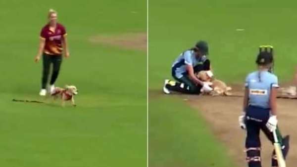 சுற்றியது 