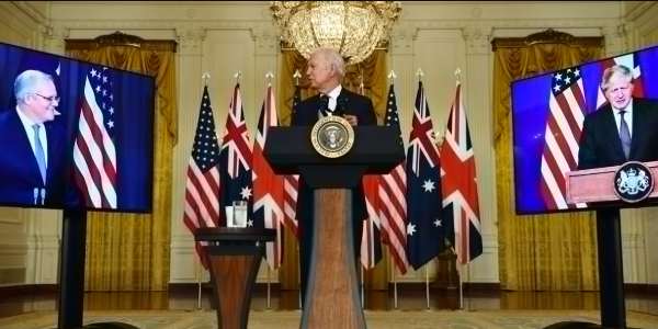 விமர்சனம் 