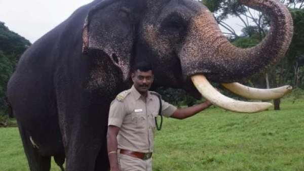  வனச் சரக ஊழியர்கள் 