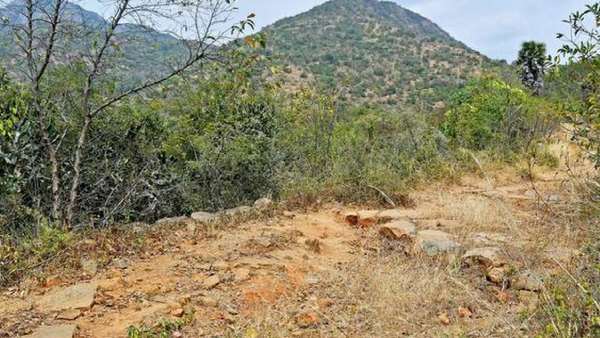 அறிவிப்பு