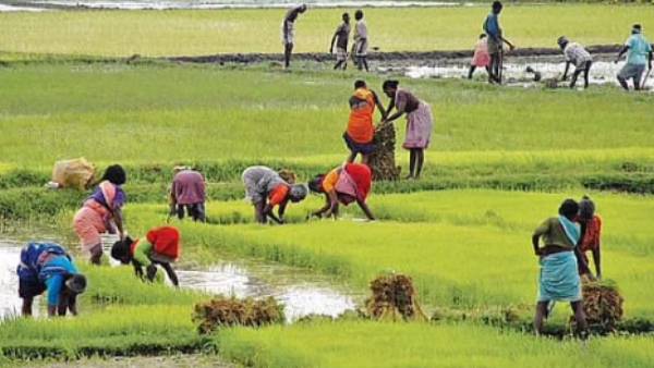 விவசாய சட்டங்களில் அதிருப்தி 