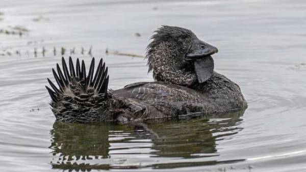 எப்படி நடந்தது? 