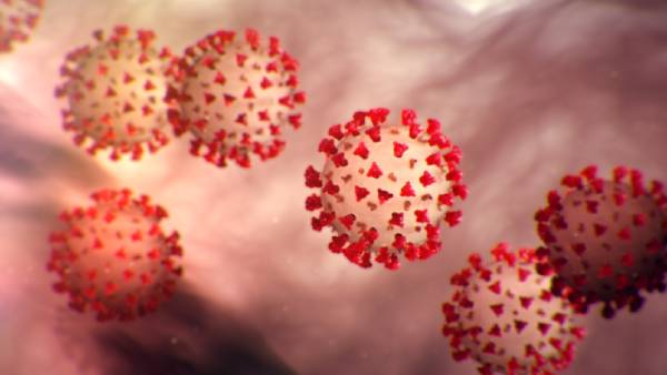  நிபுணர்கள்