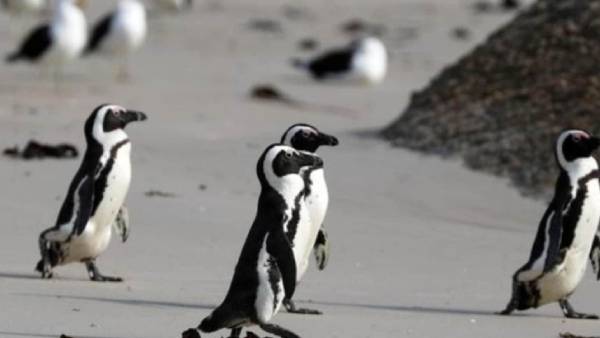 அதிர்ச்சி 