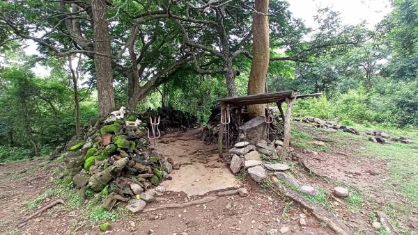 வலது புறம் புலி 