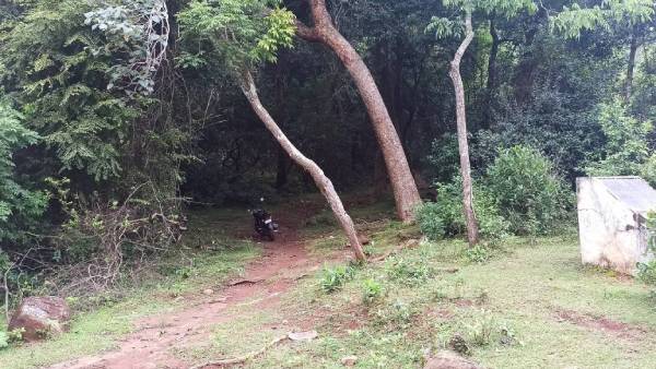 காக்கும் பொருட்டு 