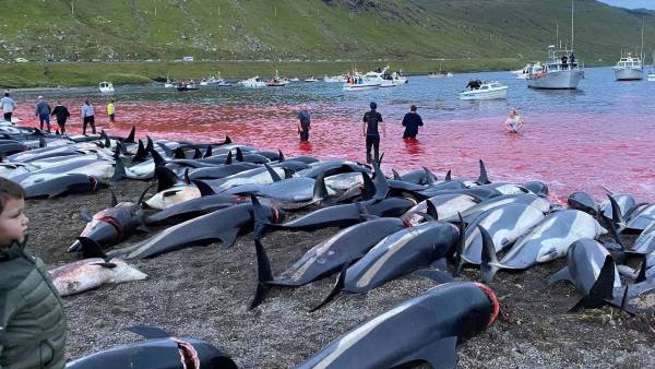  திருவிழா